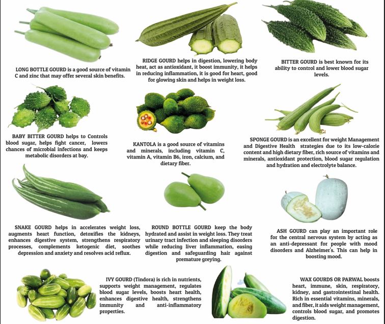LOOK AT THE WORLD OF GOURDS THIS MONSOON!