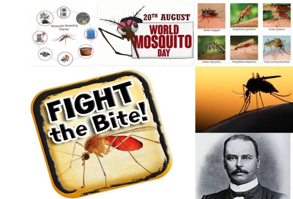 UNMASKING THE MOSQUITO, Battling the bite!
