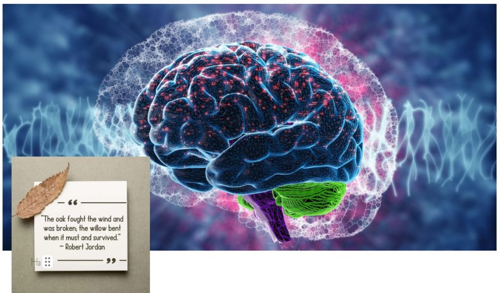 BEND, DON’T BREAK THE ART AND SCIENCE BEHIND PSYCHOLOGICAL FLEXIBILITY!