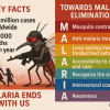 decoding Malaria:The Road to Elimination