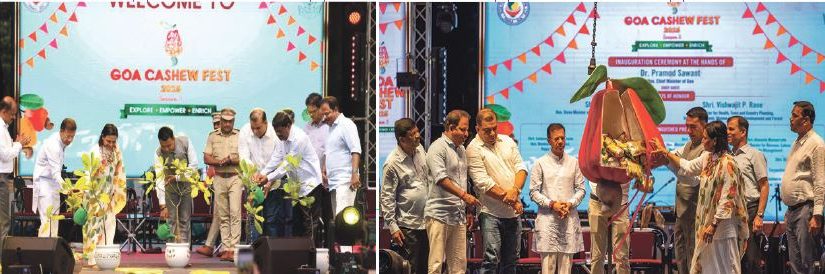 AT THE GOA CASHEW FEST 2025