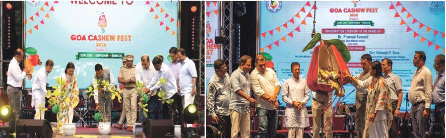 AT THE GOA CASHEW FEST 2025 Some interesting finds!