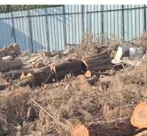 DAYANAND MEMORIAL DEMOLISHED