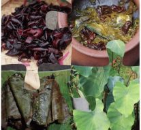 REDISCOVERING TRIBAL CUISINE OF GOA… Presented by Govt College of Art, Science & Commerce, Quepem