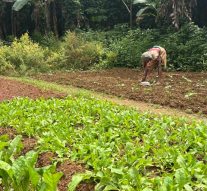 Chimbel Up in Arms to Save Wetland