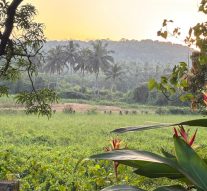 Sorrowing is my Siolim