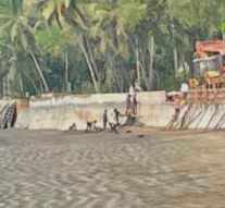 WRECKAGE OF COASTAL MANAGEMENT ZONE PLAN (CRZP)