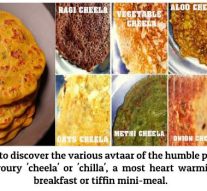 TIME TO DISCOVER THE HUMBLE `CHEELA’…