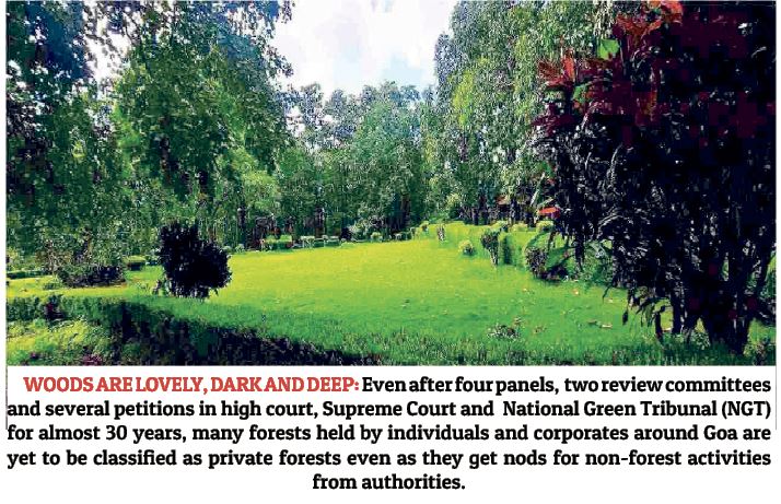 SAVE GOA’S PRIVATE FORESTS FROM POWERFUL AXES! By Praveena Sharma ...