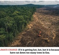 WHO IS FIXING THE SKY?  The billionaires, the cops in SUVs, and the missing trees!                    By Raaisa Lemos Vaz