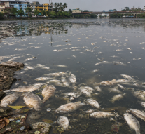 WHY ARE THE FISH DYING? By Raaisa Lemos Vaz